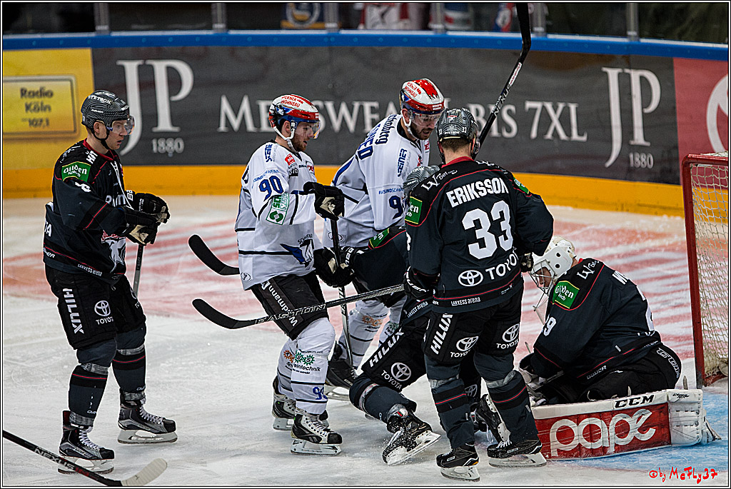 Koelner Haie - Schwenninger Wild Wings, 11.12.2016